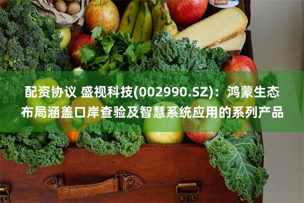 配资协议 盛视科技(002990.SZ)：鸿蒙生态布局涵盖口岸查验及智慧系统应用的系列产品
