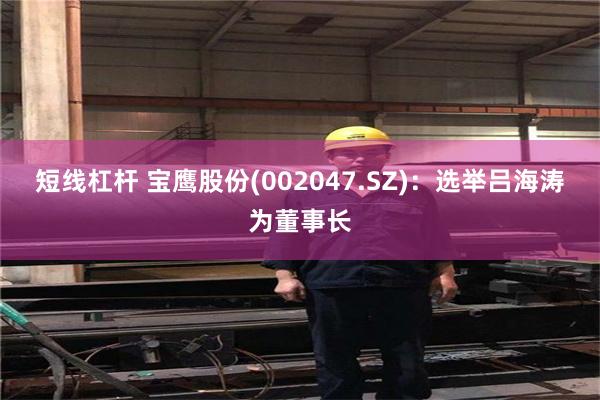 短线杠杆 宝鹰股份(002047.SZ)：选举吕海涛为董事长