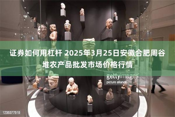 证券如何用杠杆 2025年3月25日安徽合肥周谷堆农产品批发市场价格行情