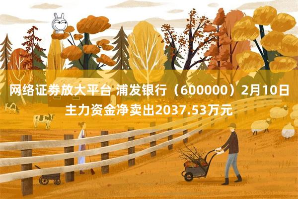 网络证劵放大平台 浦发银行（600000）2月10日主力资金净卖出2037.53万元