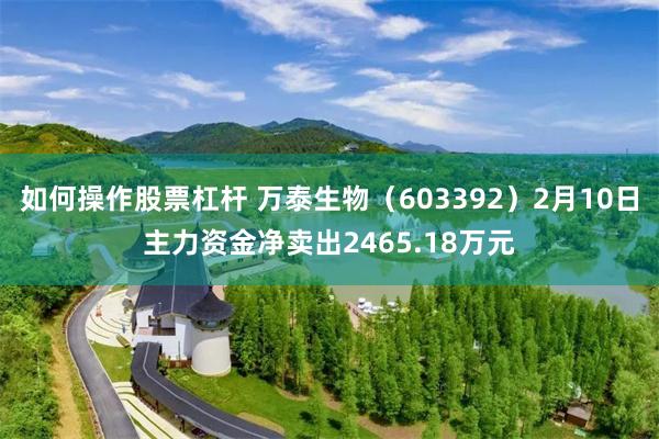 如何操作股票杠杆 万泰生物（603392）2月10日主力资金净卖出2465.18万元