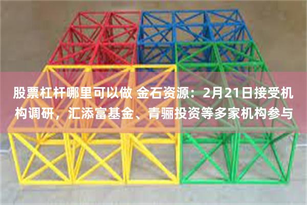 股票杠杆哪里可以做 金石资源：2月21日接受机构调研，汇添富基金、青骊投资等多家机构参与