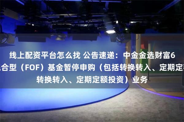 线上配资平台怎么找 公告速递：中金金选财富6个月持有期混合型（FOF）基金暂停申购（包括转换转入、定期定额投资）业务