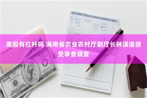 美股有杠杆吗 海南省农业农村厅副厅长林谟谐接受审查调查