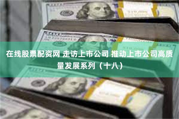 在线股票配资网 走访上市公司 推动上市公司高质量发展系列（十八）